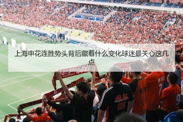 上海申花连胜势头背后藏着什么变化球迷最关心这几点